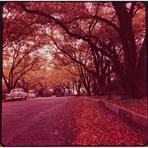 Vtg 1950's Neighborhood & Countryside 1956 Chevy Lot of 4 Ektachrome Slides 2.75